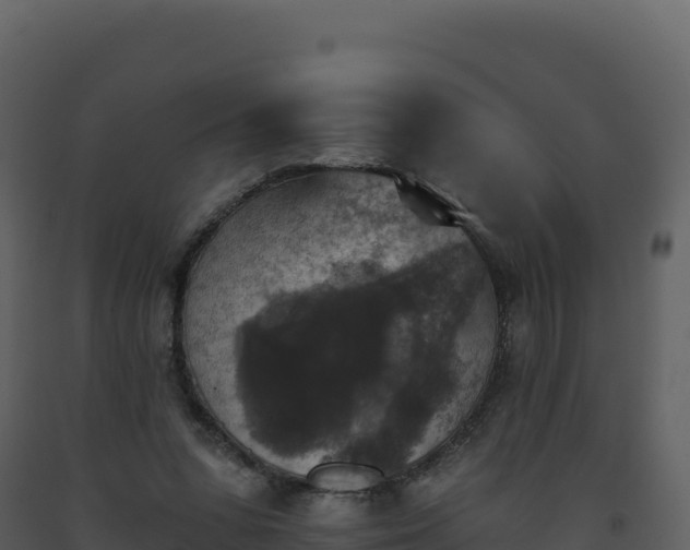 X0000093480303200710191212
