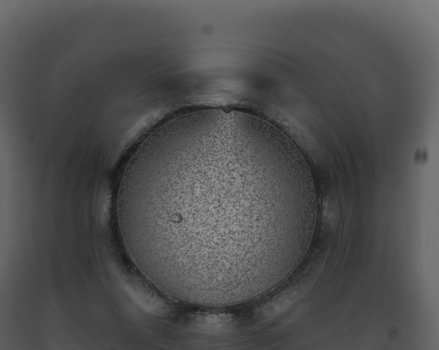 X0000093480304200710191212
