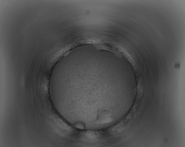 X0000093480305200710191212
