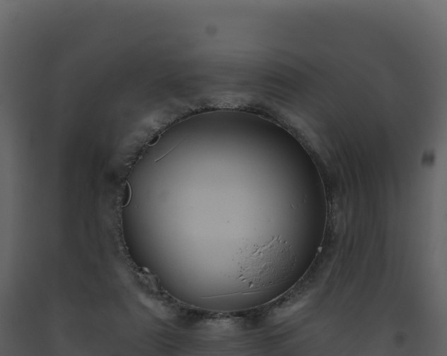 X0000093480307200710191212