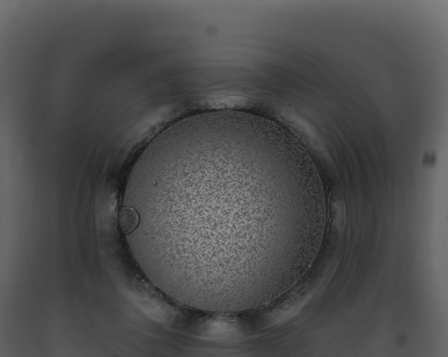 X0000093480308200710191212