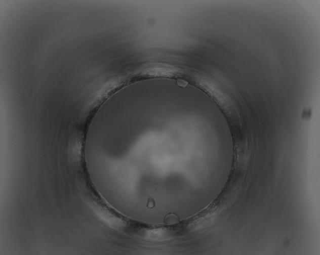 X0000093480309200710191212