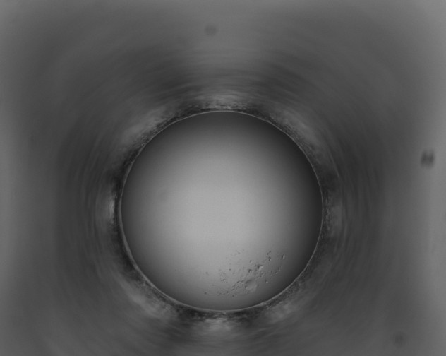 X0000093480310200710191212