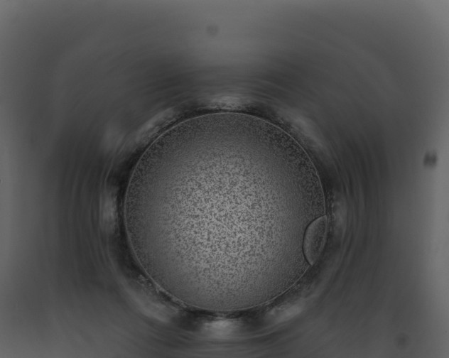X0000093480312200710191212