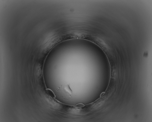 X0000093480318200710191212