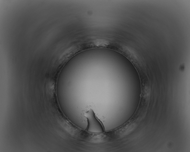 X0000093480321200710191212