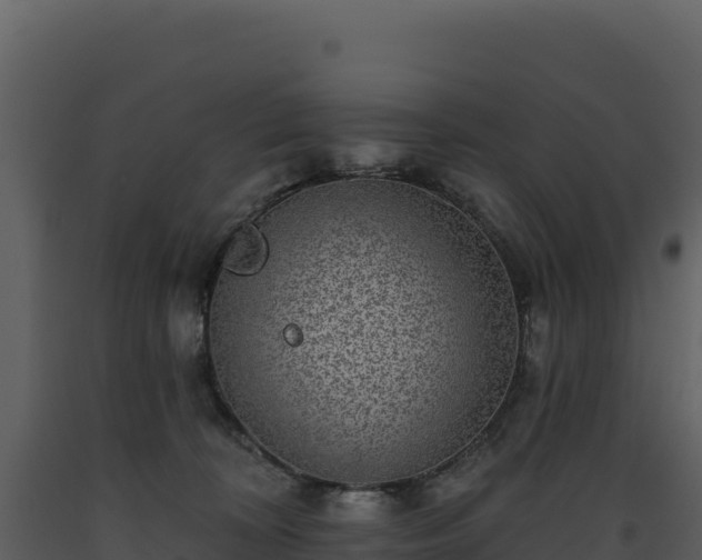 X0000093480324200710191212