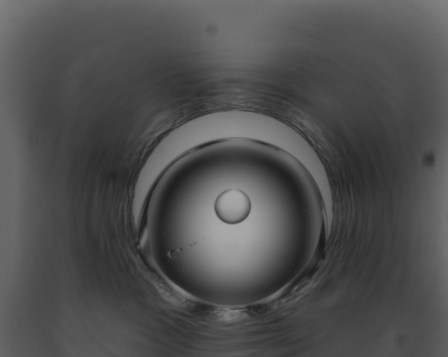 X0000093480333200710191212