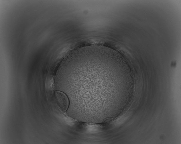 X0000093480336200710191212