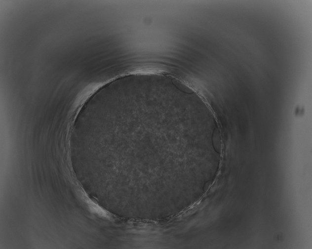 X0000093480337200710191211