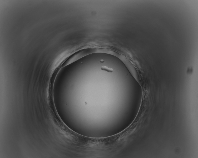 X0000093480340200710191211