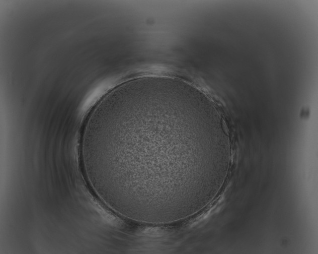 X0000093480341200710191211