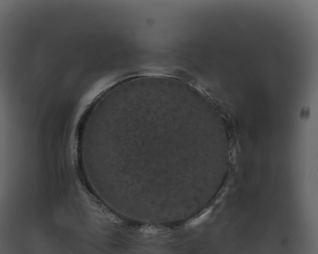 X0000093480343200710191211
