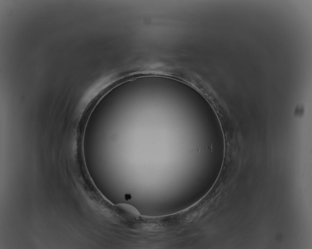 X0000093480344200710191211