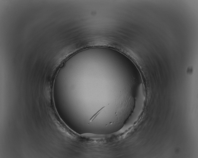 X0000093480345200710191211