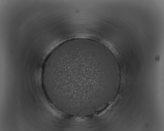 X0000093480346200710191211