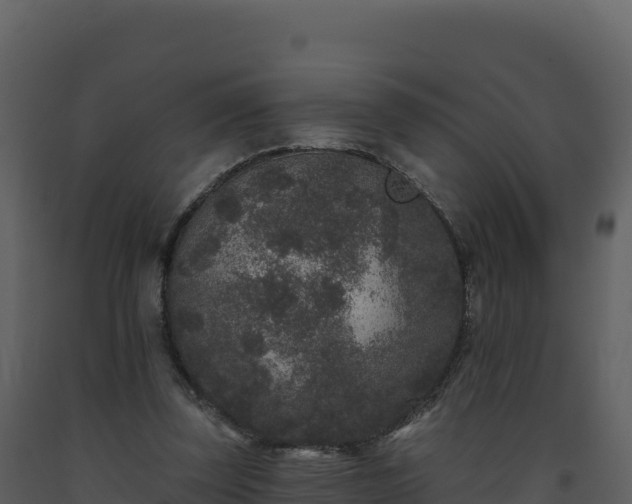 X0000093480347200710191211