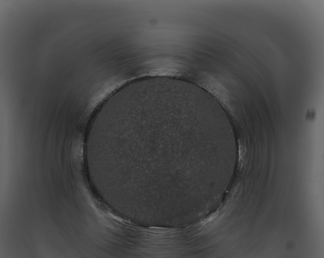 X0000093480348200710191211