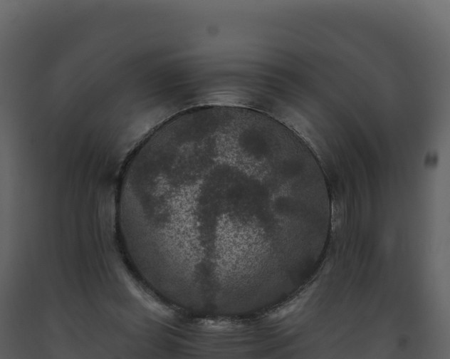 X0000093480349200710191211