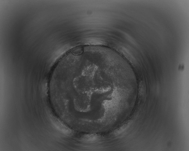 X0000093480351200710191211