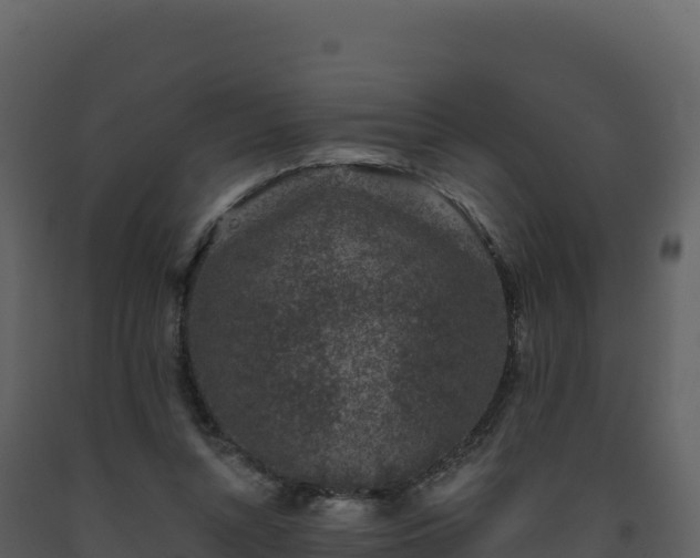 X0000093480352200710191211
