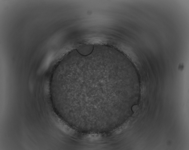 X0000093480353200710191211
