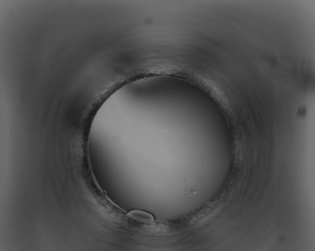 X0000093480354200710191211