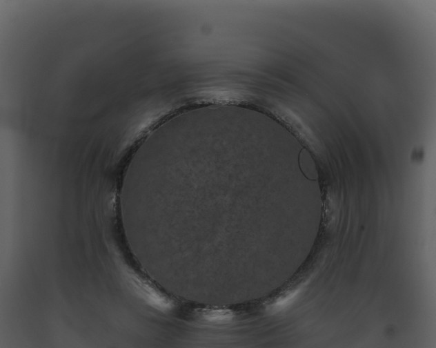 X0000093480355200710191211