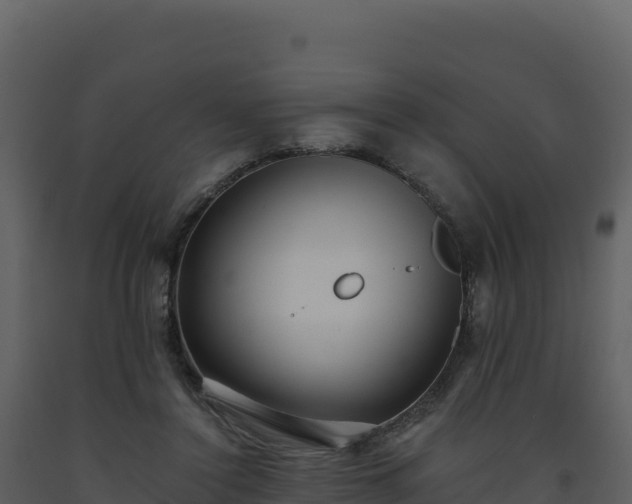 X0000093480356200710191211