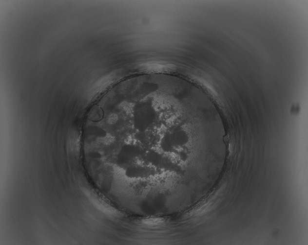 X0000093480357200710191211