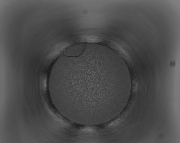 X0000093480358200710191211