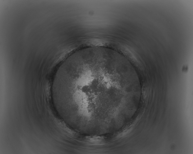 X0000093480359200710191211