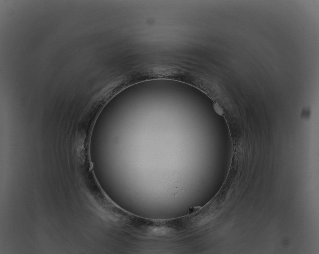 X0000093480360200710191211