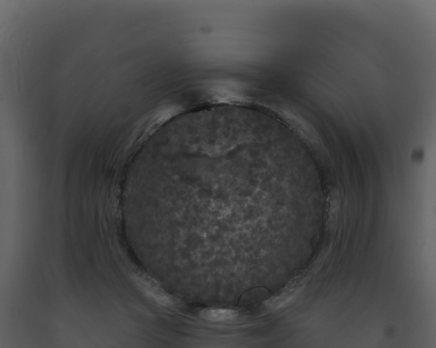 X0000093480361200710191211