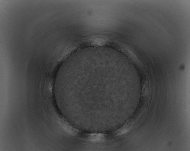X0000093480363200710191211