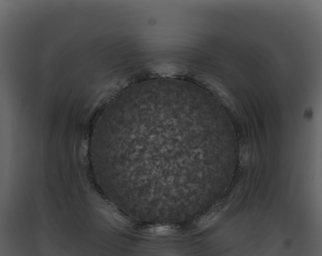 X0000093480365200710191211