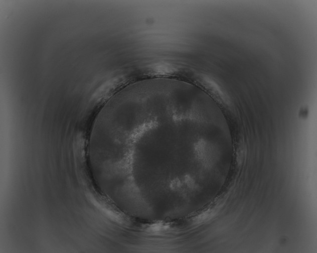 X0000093480366200710191211
