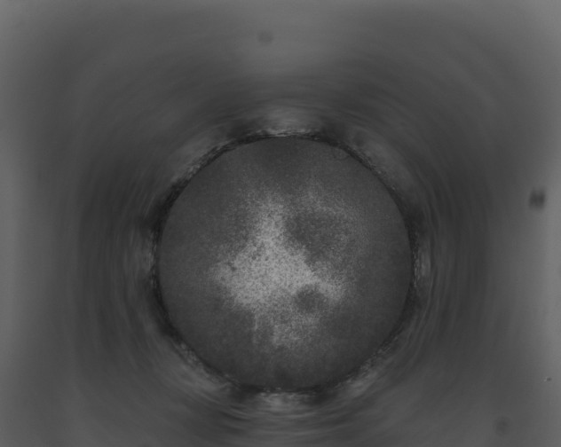 X0000093480367200710191211