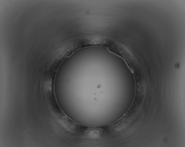 X0000093480368200710191211