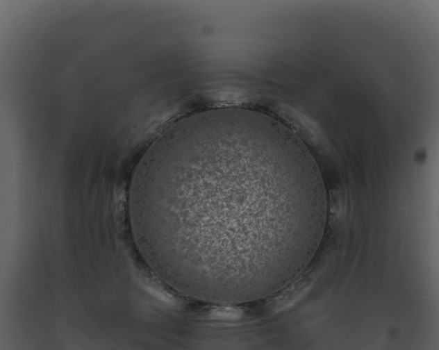 X0000093480369200710191211