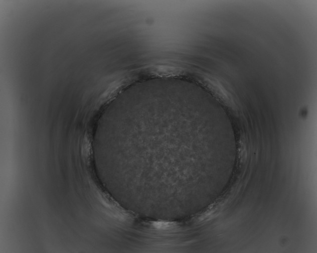X0000093480371200710191211