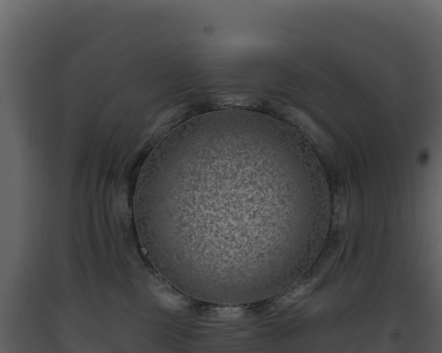 X0000093480377200710191211