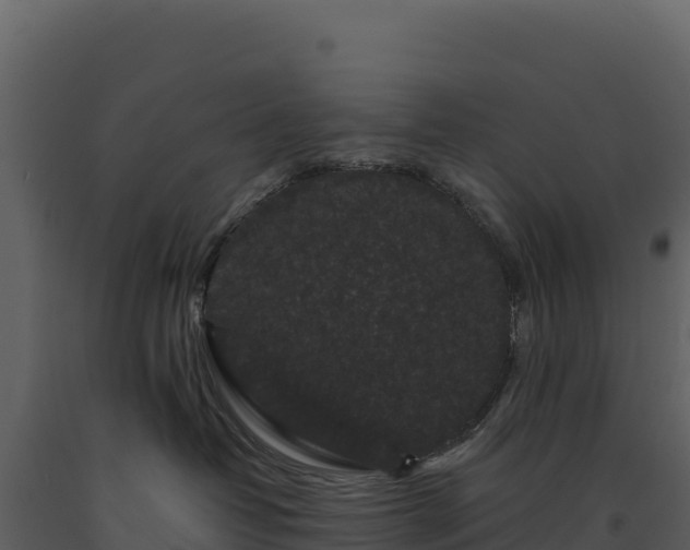 X0000093480382200710191211