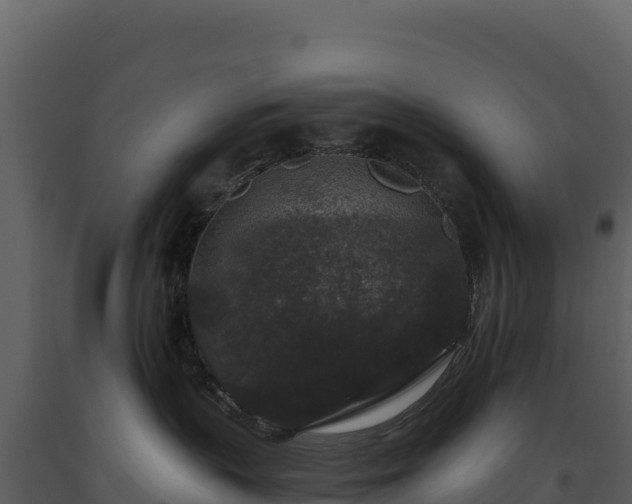 X0000093480383200710191212