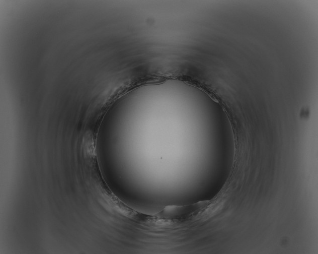 X0000093480384200710191212