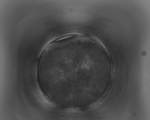 X0000093480386200710191211