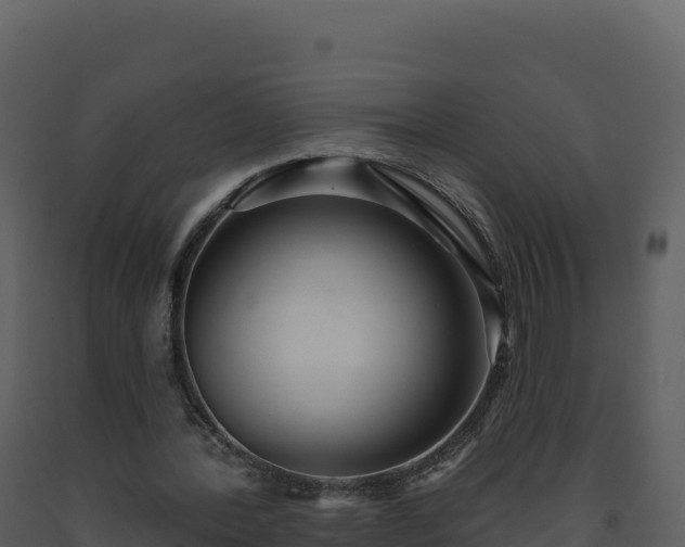 X0000093480388200710191211