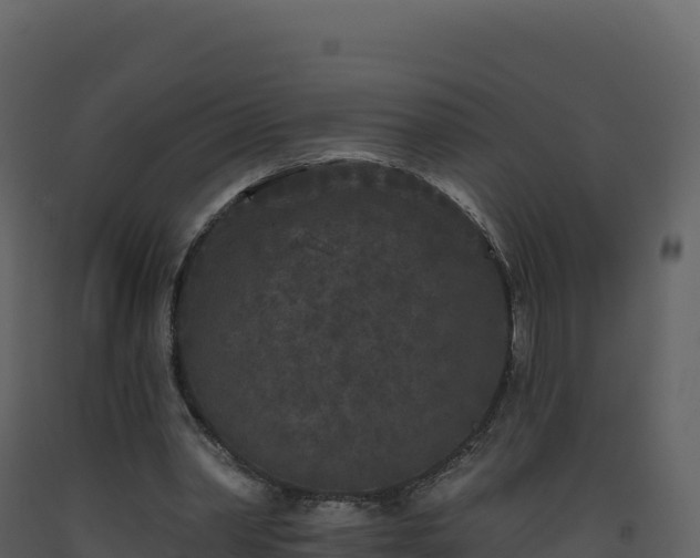X0000093480390200710191211