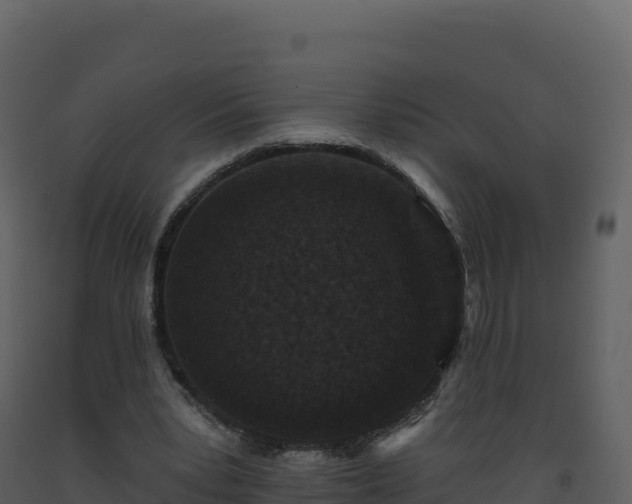X0000093480391200710191211