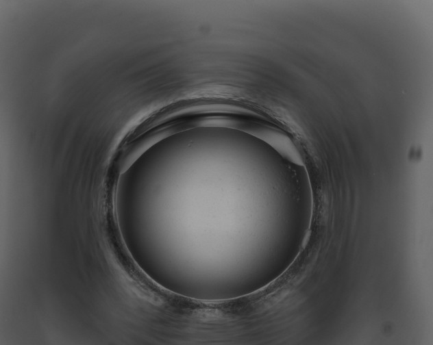 X0000093480392200710191211